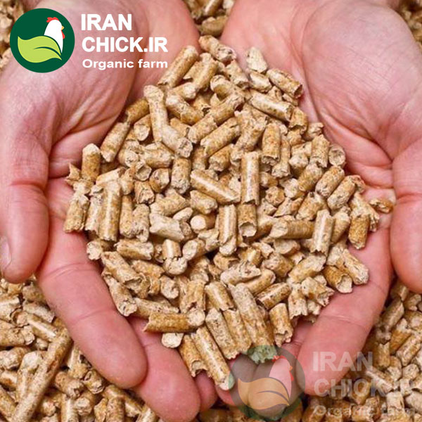 دان پلت مرغ ارگانیک