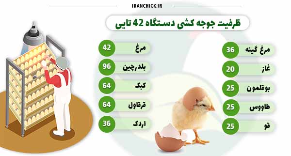 ظرفیت 42